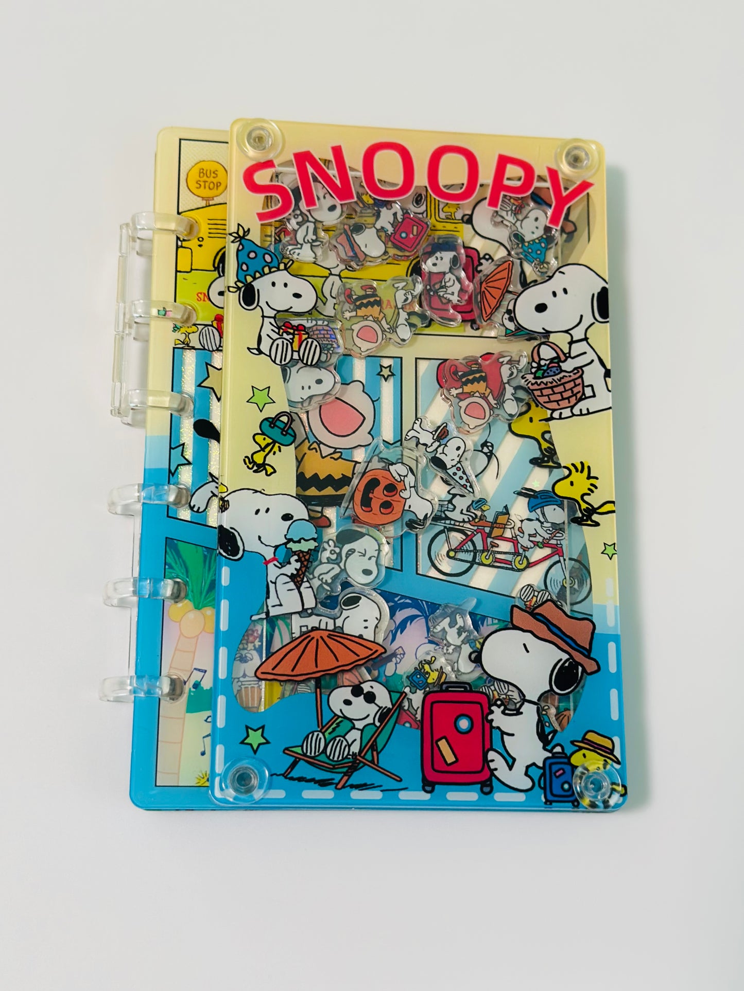 Acrylic Shaker Notebooks