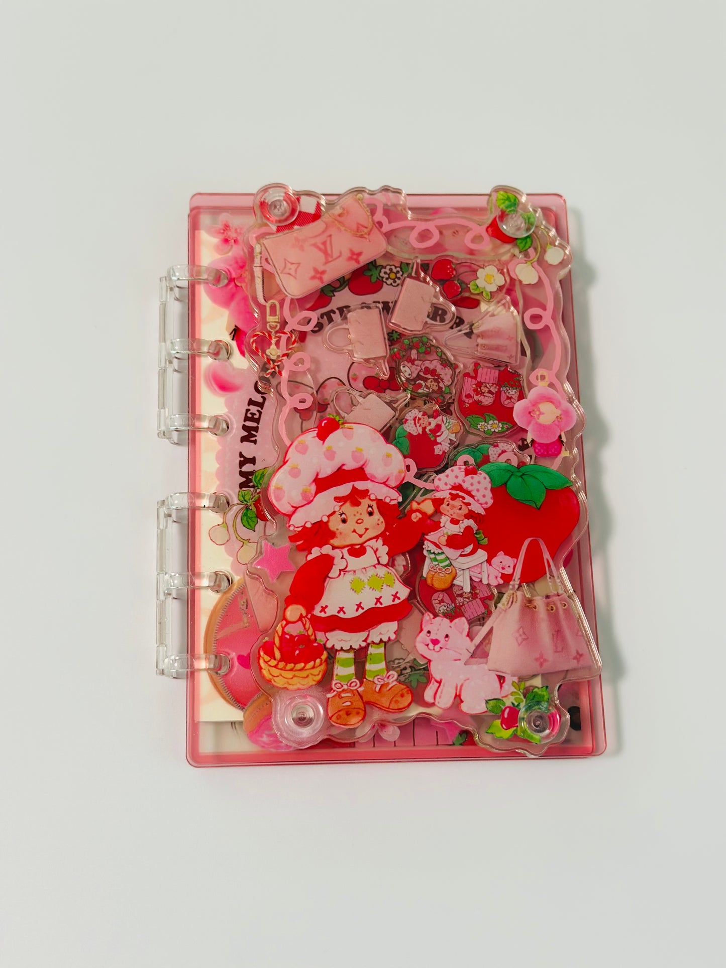 Acrylic Shaker Notebooks
