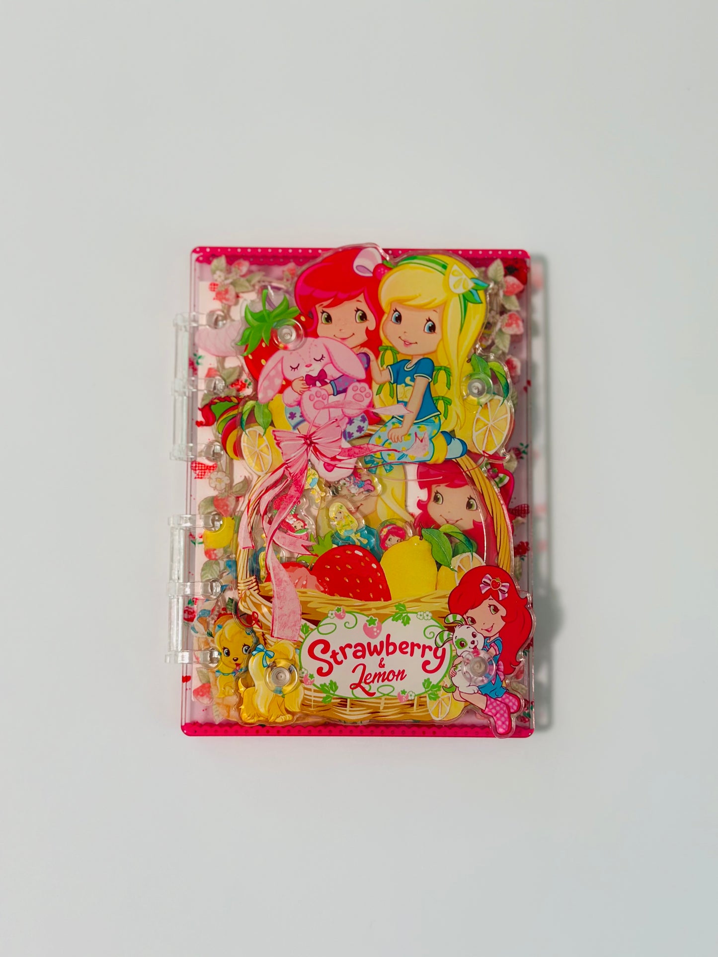 Acrylic Shaker Notebooks
