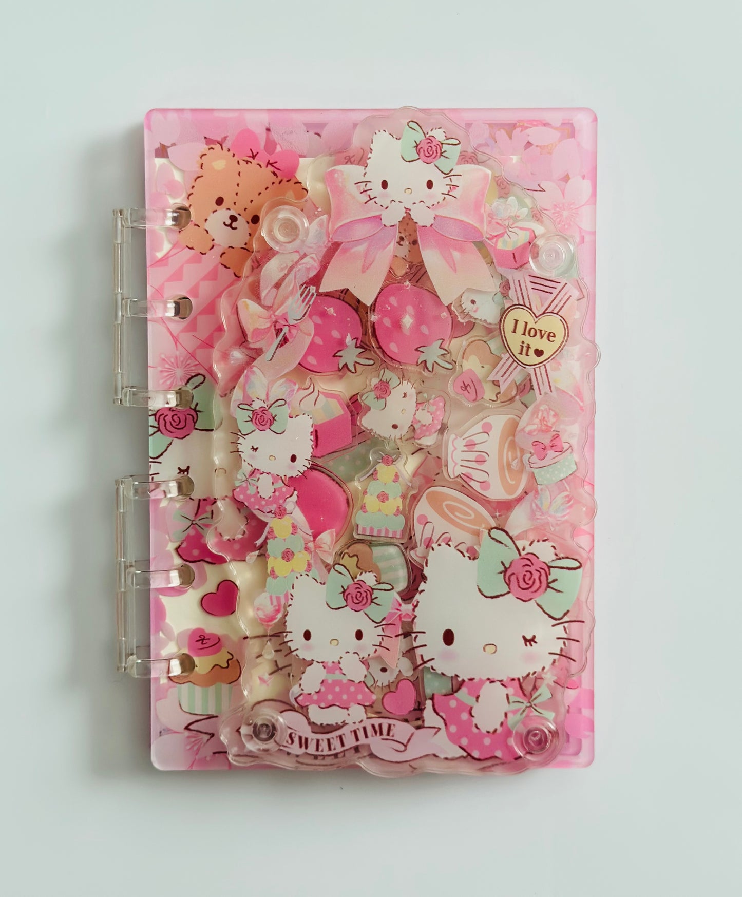 Acrylic Shaker Notebooks